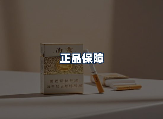 专业团队办公环境